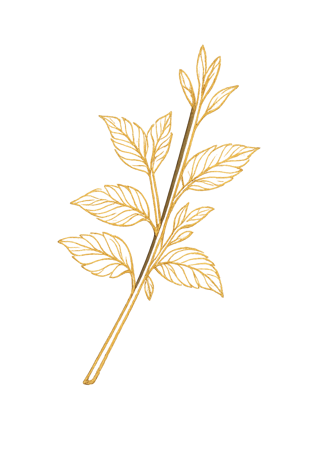 plant-art